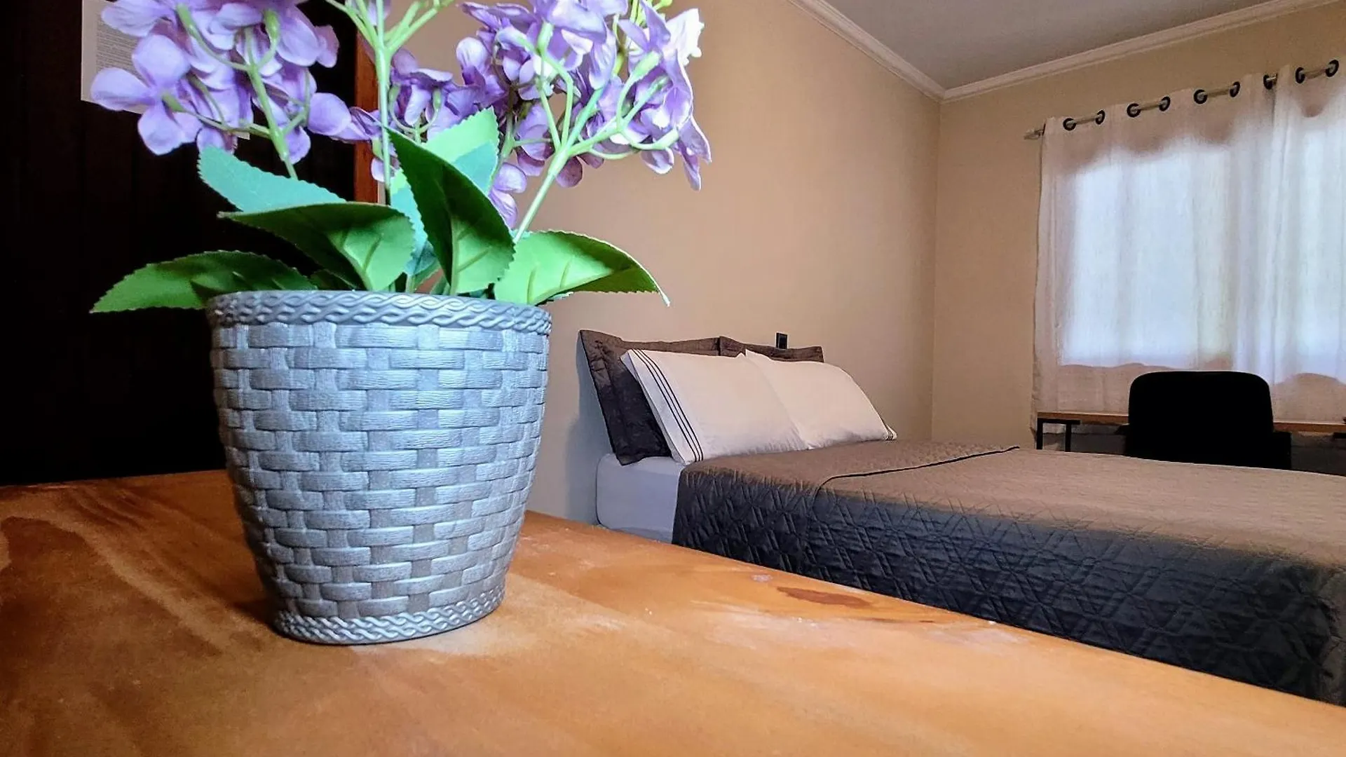 Blu Hostel Blumenau